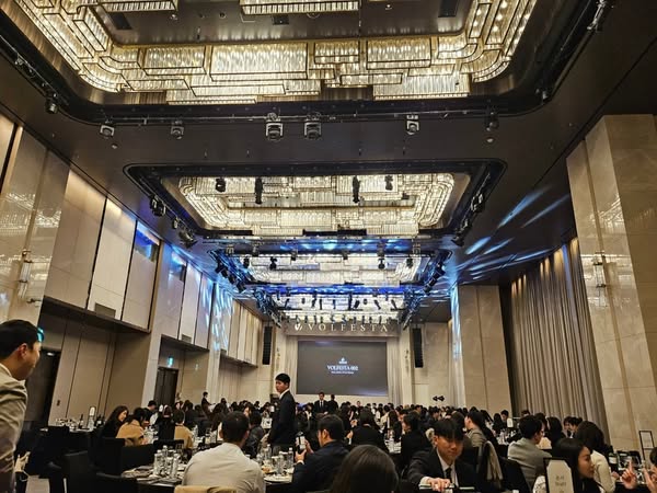 VOLAYON VOLFESTA 002 VOLAYON VVIP FESTA